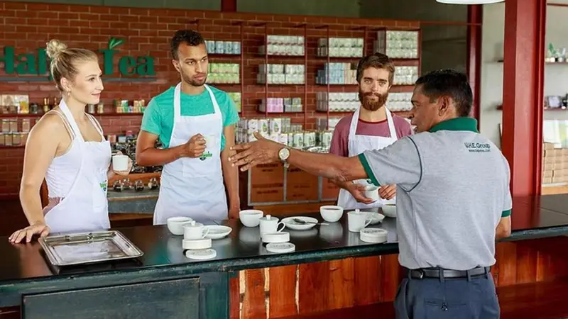 Halpewatte tea factory tour